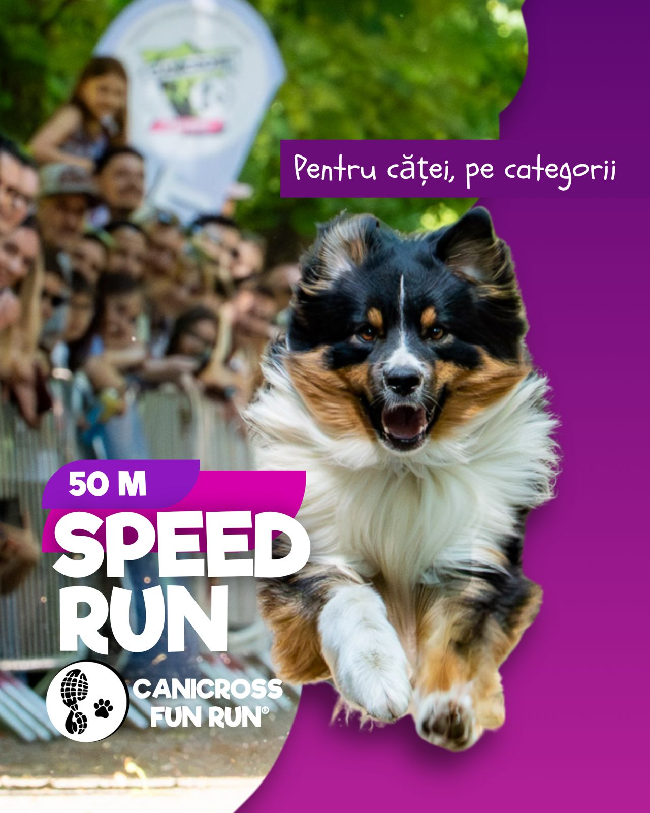 CANICROSS FOR FUN® galerie 1