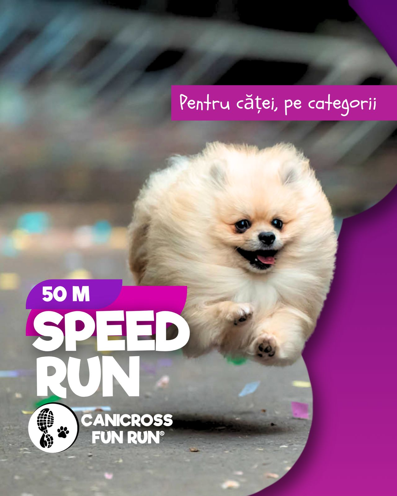 CANICROSS FOR FUN® galerie 4