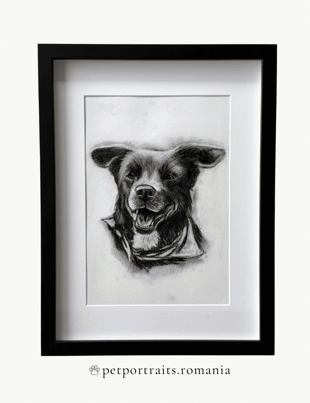 PETPORTRAITS.ROMANIA galerie 4