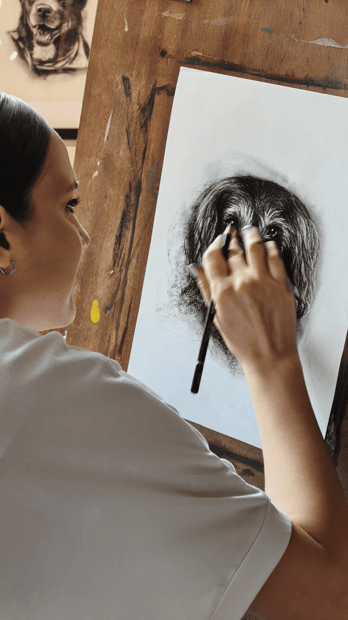 PETPORTRAITS.ROMANIA galerie 5