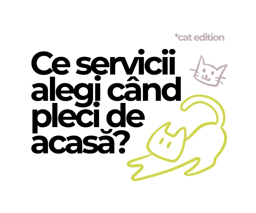 Pisica în vacanță: ce servicii alegi când pleci de acasă?