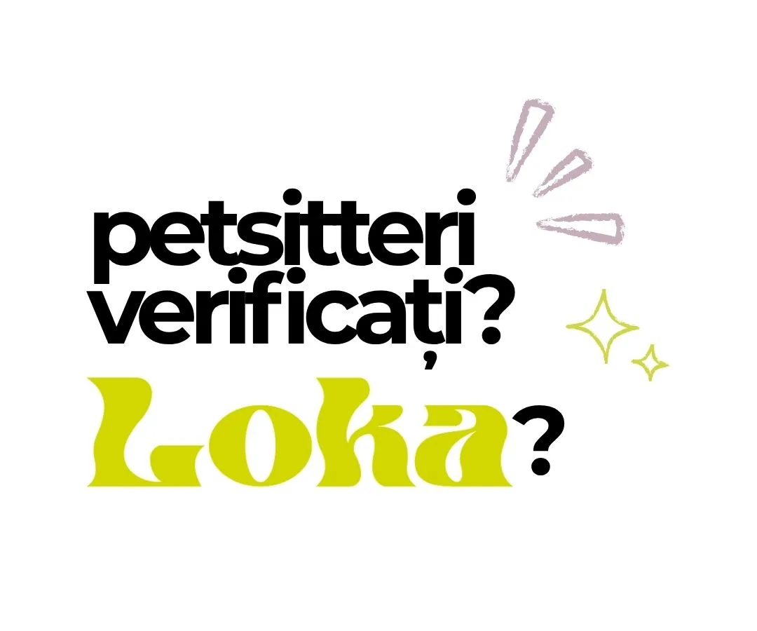 Ce este LokaPetCare? Petsitteri verificați?