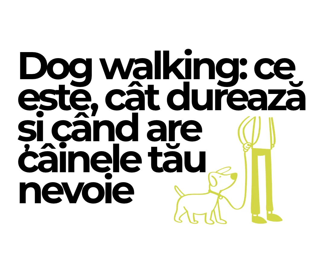 Dog walking: ce este, cât durează și când are câinele tău nevoie