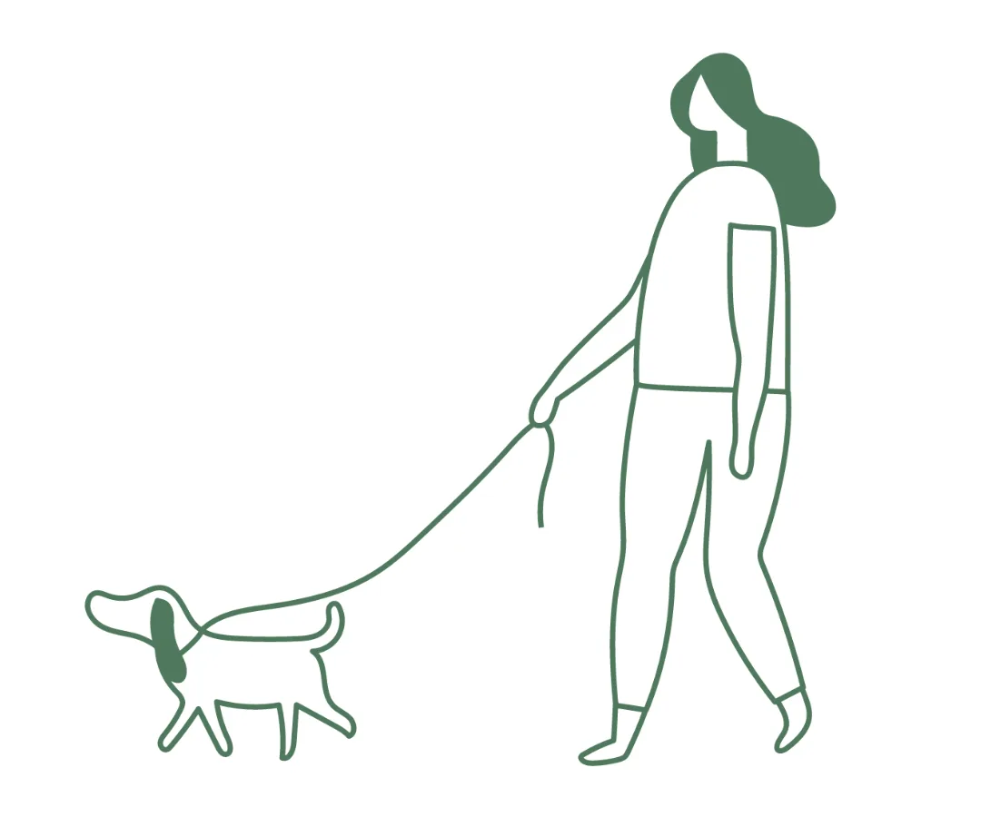 Dog walking: ce este, cât durează și când are câinele tău nevoie