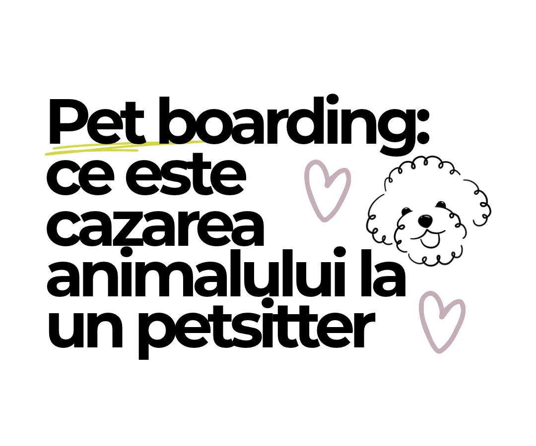 Pet boarding: ce este cazarea animalului la un petsitter