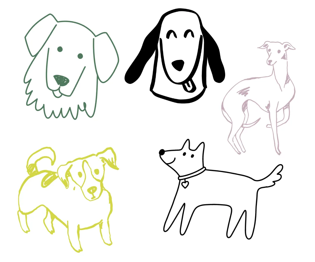 Pet boarding: ce este cazarea animalului la un petsitter