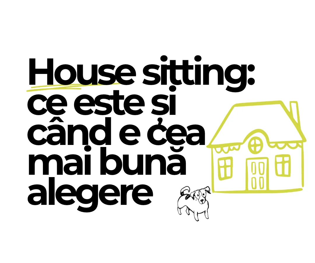 House sitting: ce este și când e cea mai bună alegere